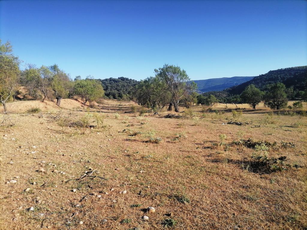 Terreno en venta  La Puebla de Castro  2/12