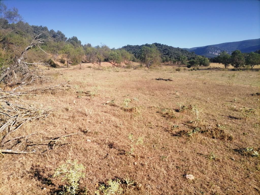 Terreno en venta  La Puebla de Castro  3/12