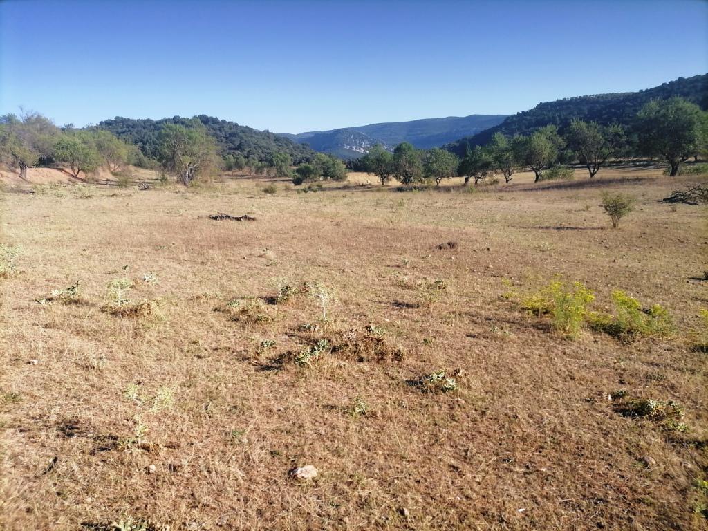 Terreno en venta  La Puebla de Castro  4/12