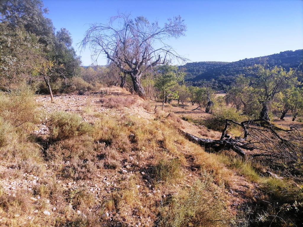 Terreno en venta  La Puebla de Castro  5/12