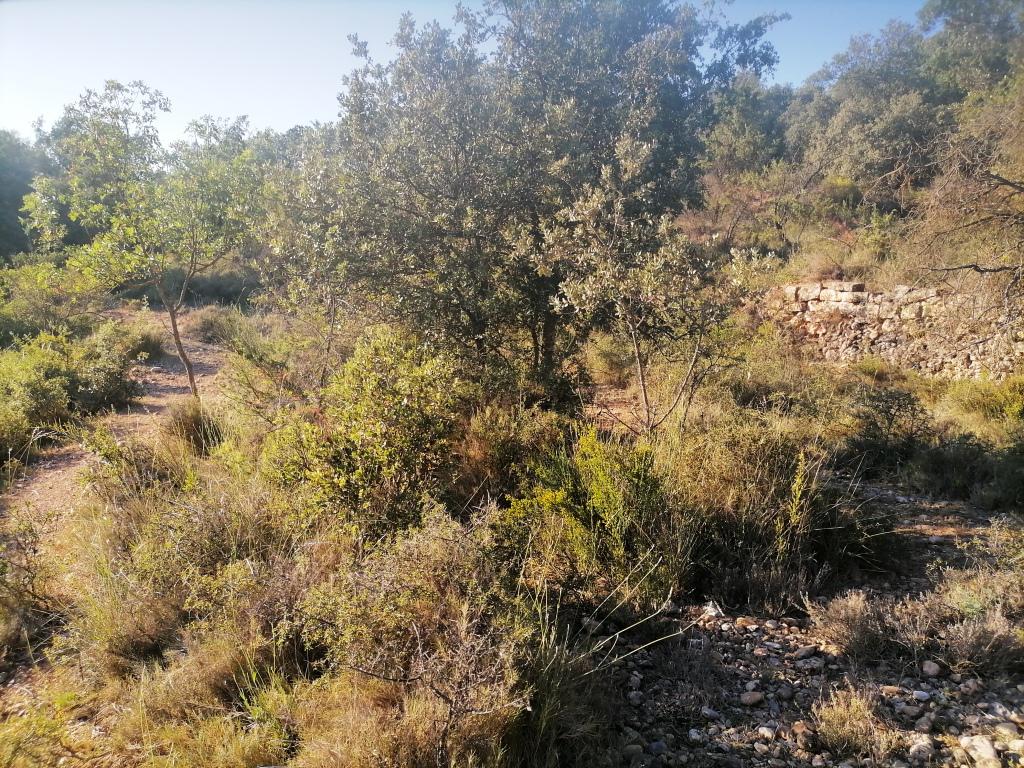 Terreno en venta  La Puebla de Castro  10/12