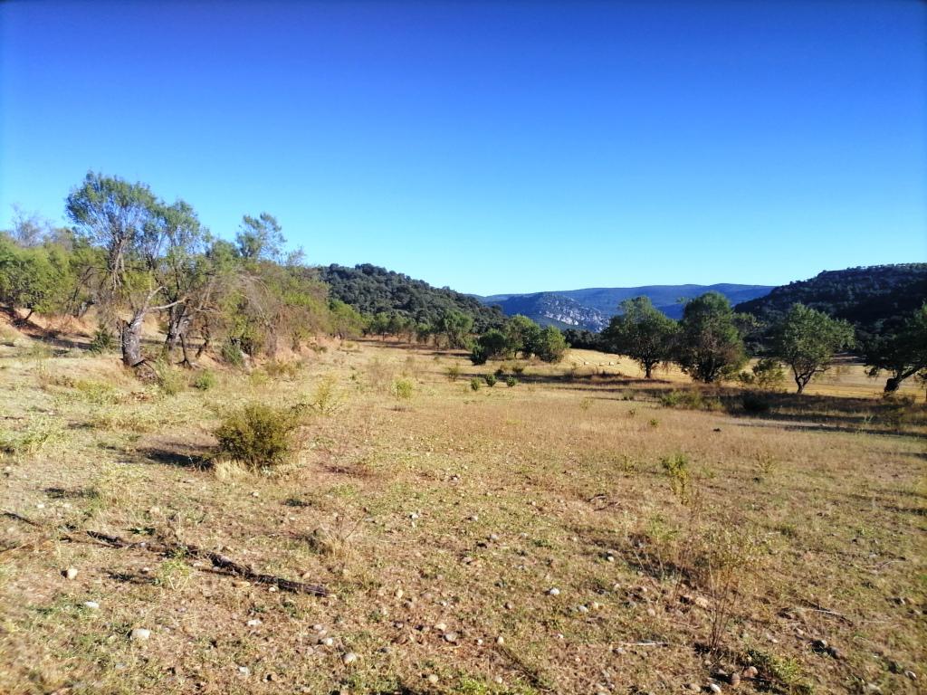 Terreno en venta  La Puebla de Castro  6/12