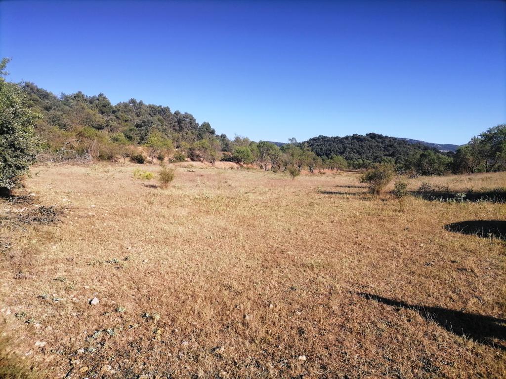 Terreno en venta  La Puebla de Castro  7/12