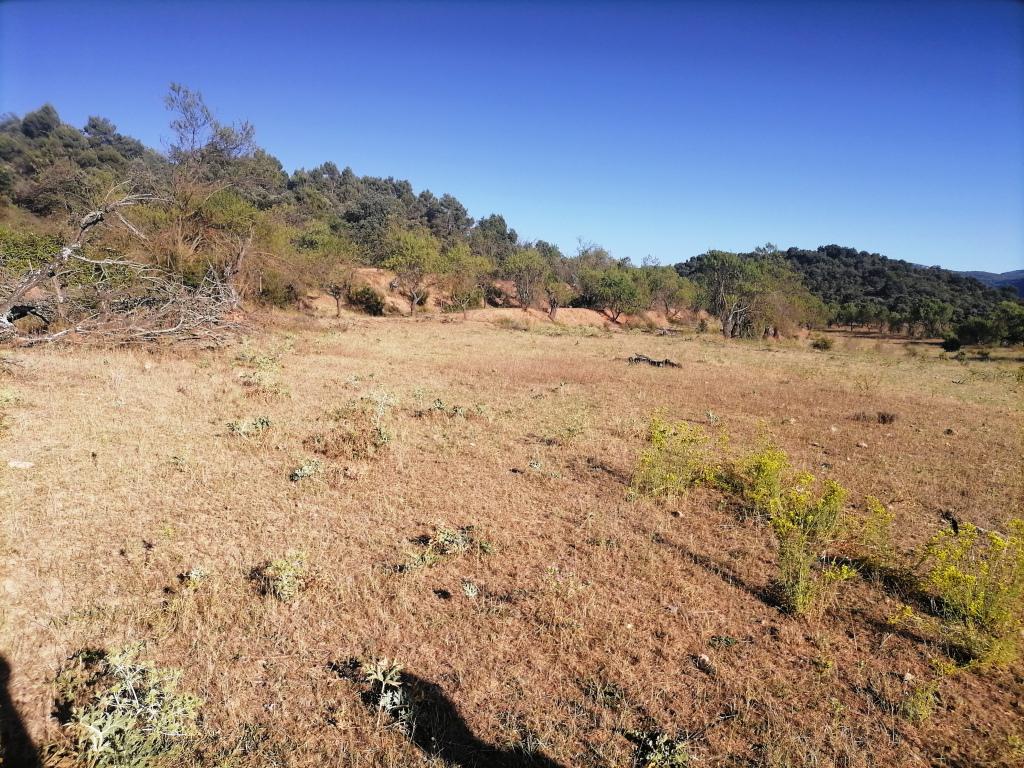 Terreno en venta  La Puebla de Castro  8/12